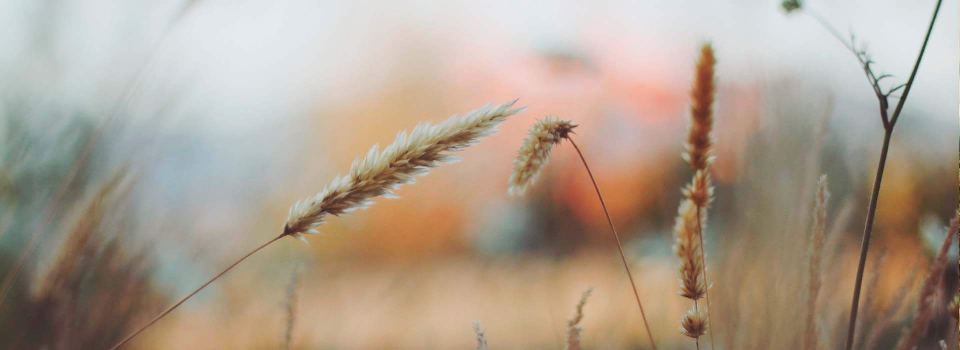 自动充值稳定的ddos攻击工具